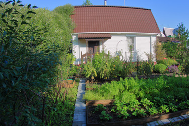 Similar image 22559010