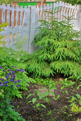 Similar image 22559013