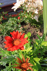 Similar image 22559014