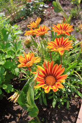 Similar image 22559015