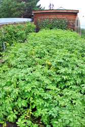 Similar image 22559989