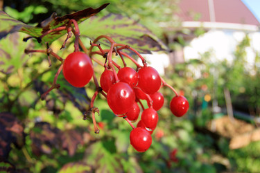 Similar image 22559990