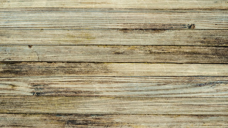 Similar image 22559046