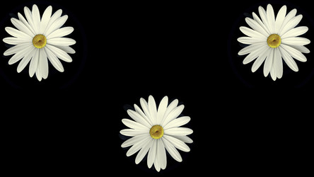 Similar image 22567546