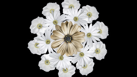 Similar image 22570693