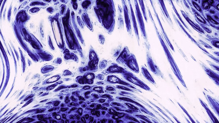 Similar image 22573004