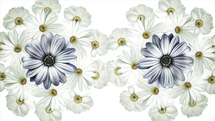 Similar image 22563286