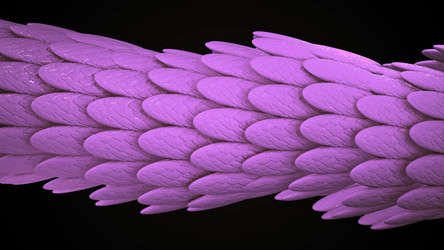 Similar image 22571264