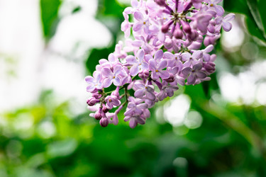 Similar image 22561935