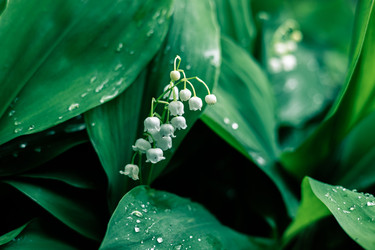 Similar image 22561937