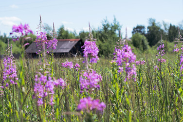 Similar image 22561938