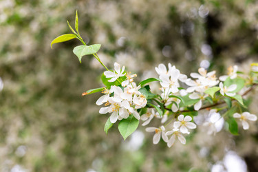 Similar image 22561939