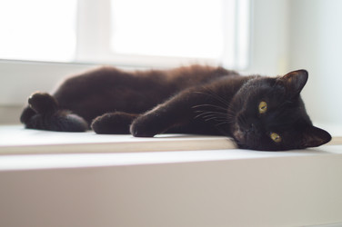 Similar image 22561951