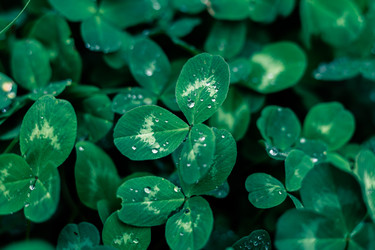 Similar image 22561952