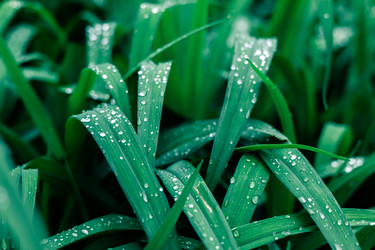 Similar image 22561956