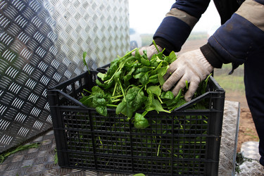 Similar image 22562081