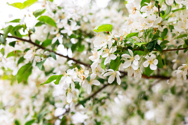 Similar image 22561957