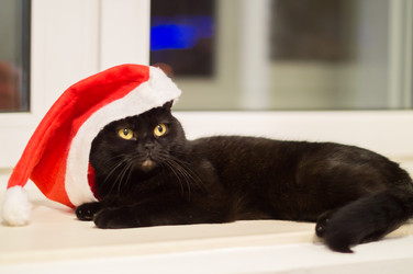 Similar image 22561958