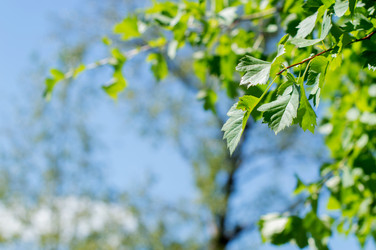 Similar image 22561959