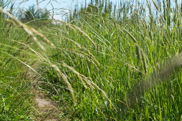 Similar image 22561960