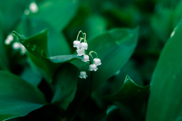 Similar image 22561962