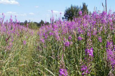 Similar image 22561963