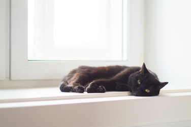 Similar image 22561964