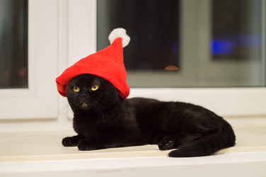 Similar image 22561979