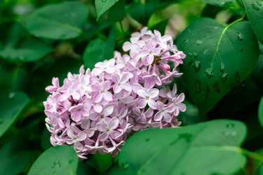 Similar image 22561876