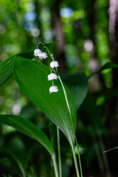 Similar image 22561890