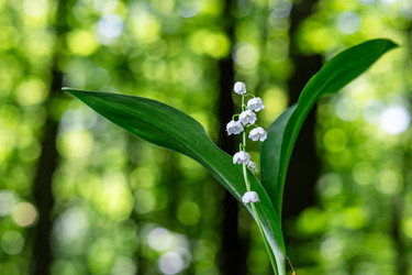 Similar image 22561891