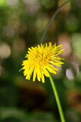 Similar image 22561892