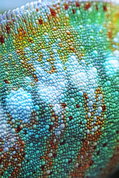 Similar image 22561992