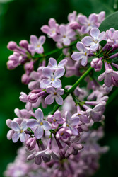 Similar image 22561893