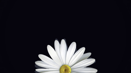 Similar image 22566584