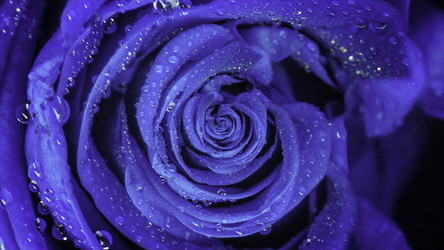 Similar image 22568537