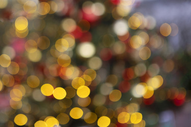 Similar image 22562035