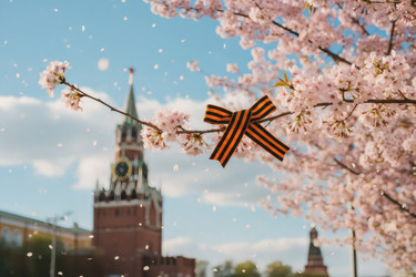 Similar image 22560264