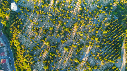 Similar image 22560523