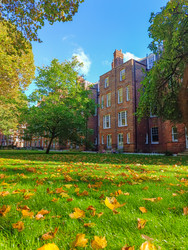 Similar image 22560141