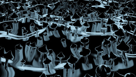 Similar image 22573064