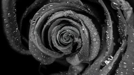 Similar image 22566735