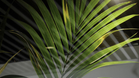 Similar image 22564791