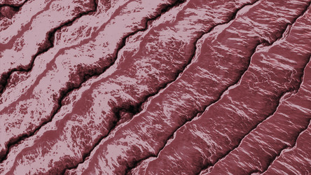 Similar image 22569364