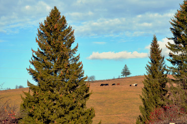 Similar image 22558638