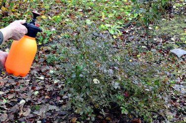 Similar image 22558639