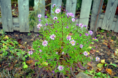 Similar image 22558640