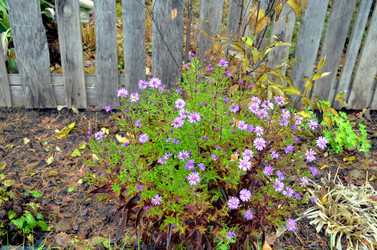 Similar image 22558643