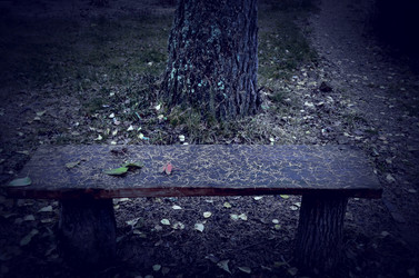 Similar image 22558644