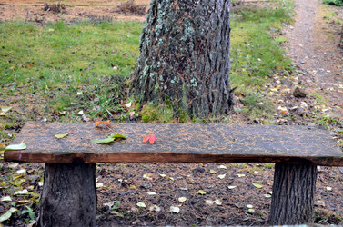 Similar image 22558645